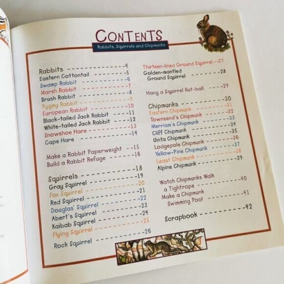 Take Along Guide Rabbits, Squirrels & Chipmunks Book, Fun with Nature Kids book - Picture 5 of 9